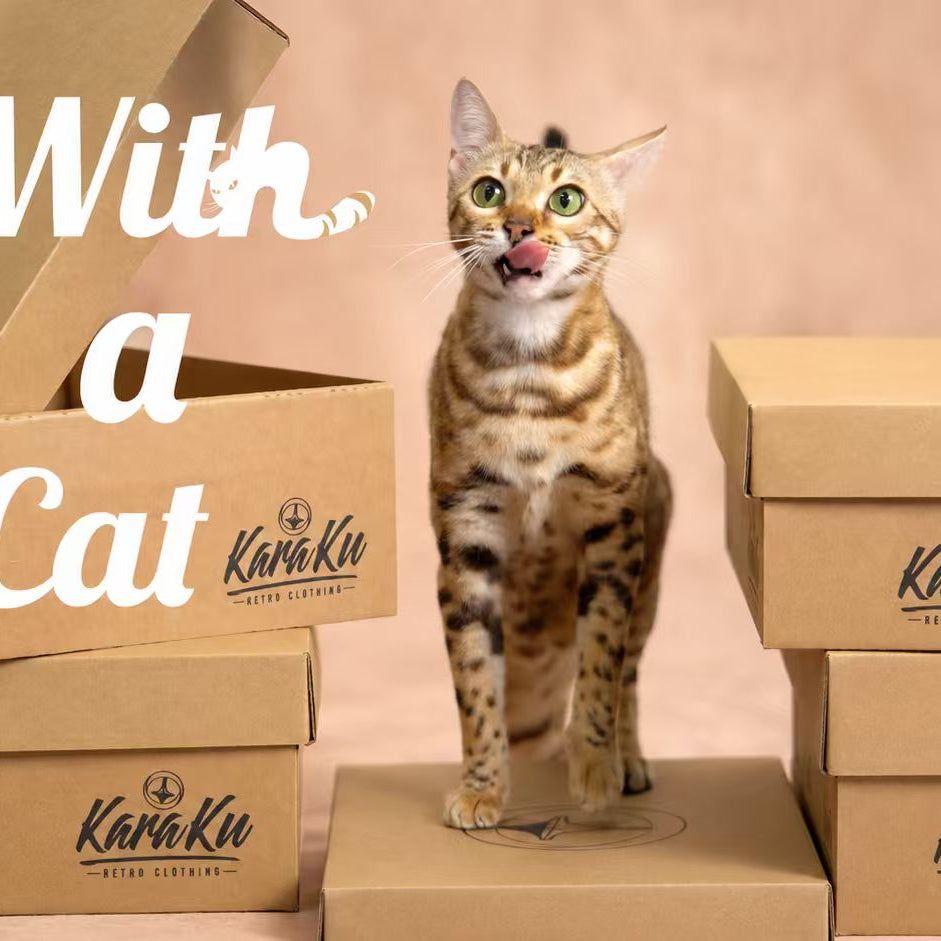 Meet a Cat