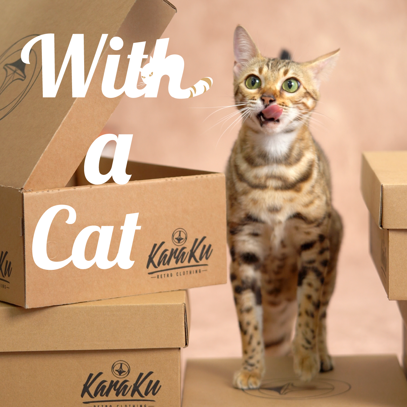 Meet a Cat