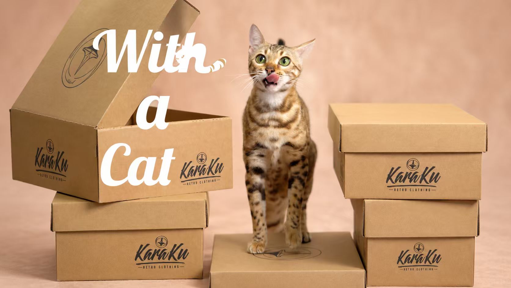 Meet a Cat