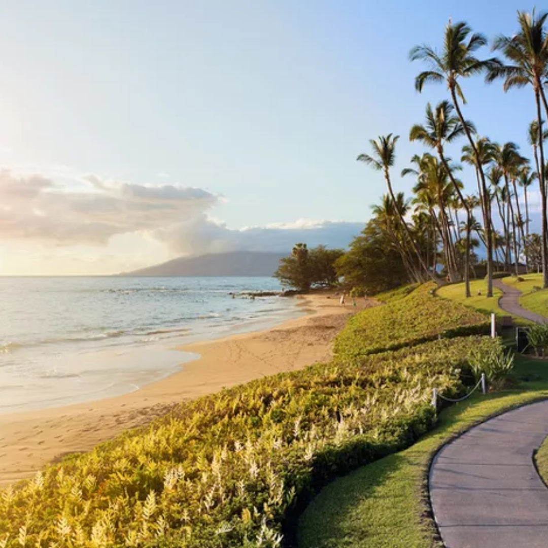 The Ultimate Travel Guide to Hawaii